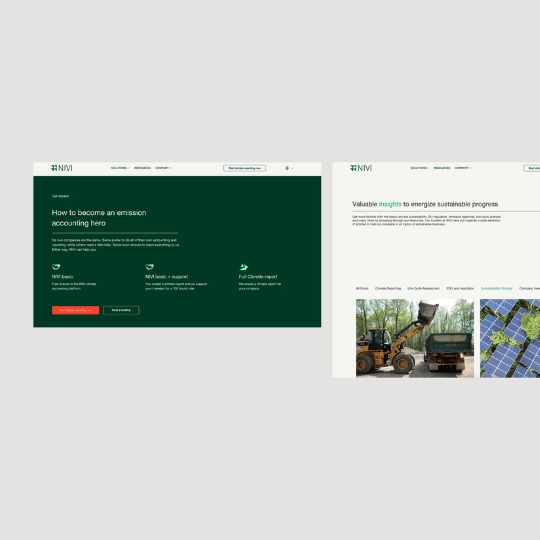 Picture of a website